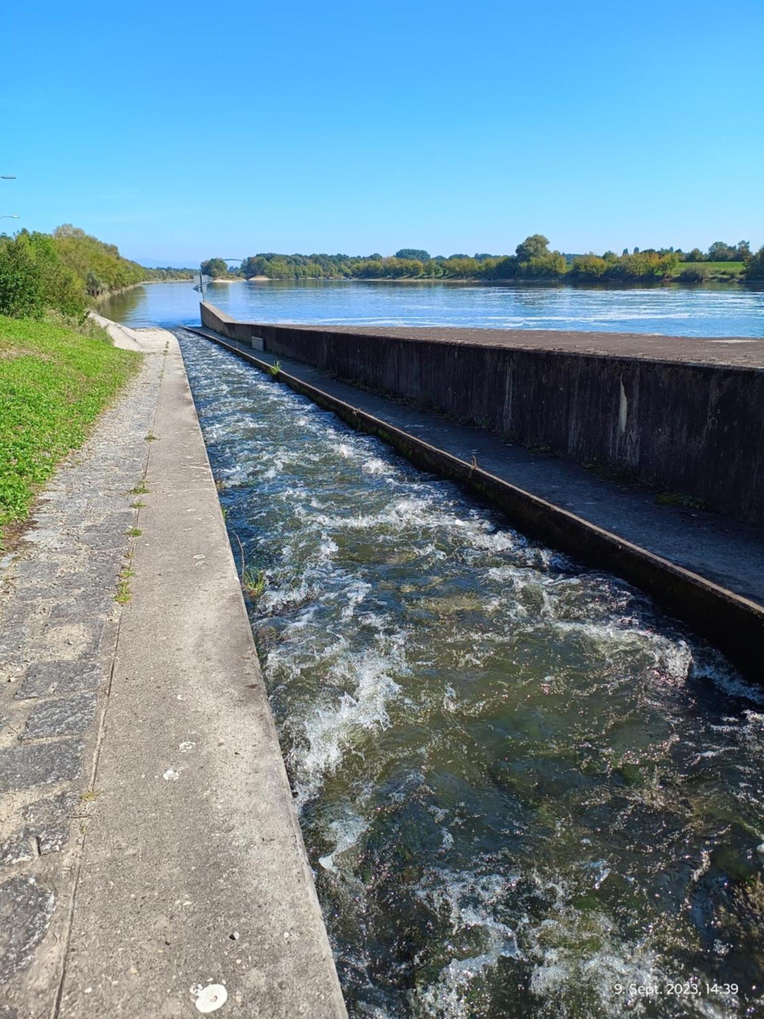 G.A.D.D Ferienwohnung/Glueck An Der Donau Straubing Dış mekan fotoğraf