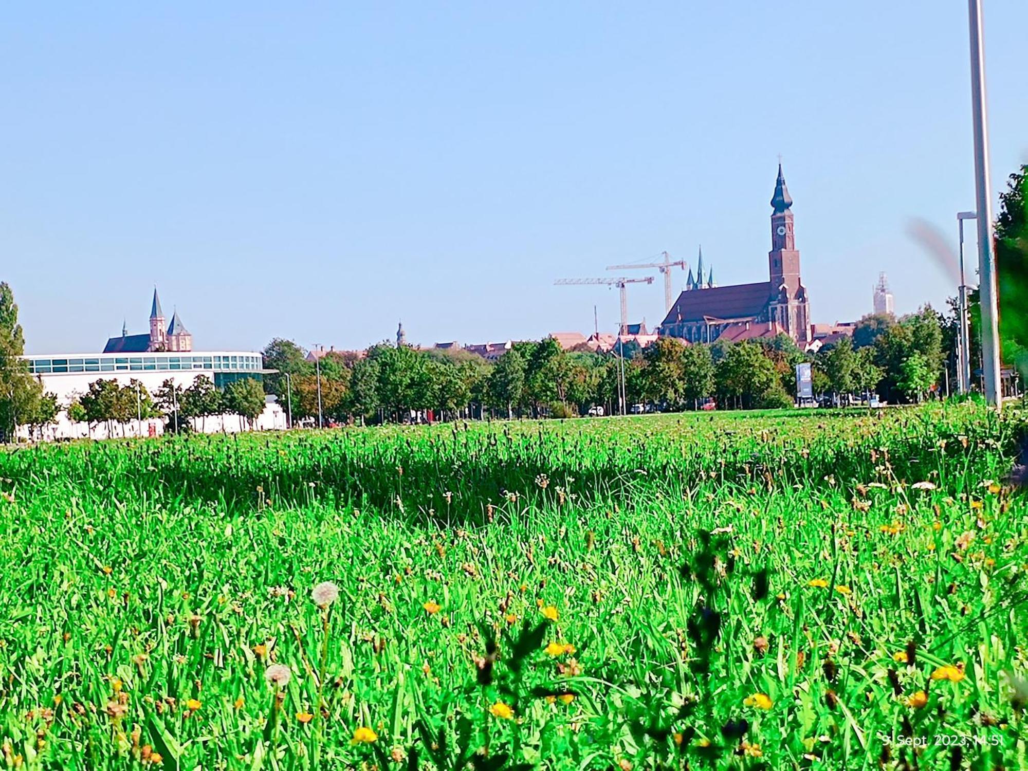 G.A.D.D Ferienwohnung/Glueck An Der Donau Straubing Dış mekan fotoğraf